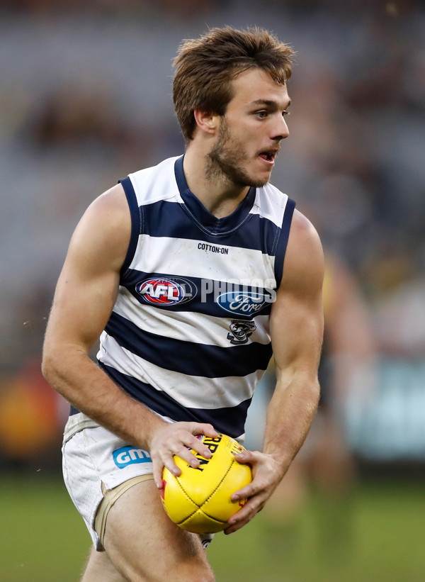 AFL 2018 Round 13 - Geelong v Richmond - 602340