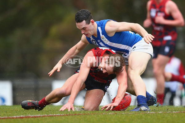 VFL 2018 Round 14 - Casey v North Melbourne - 608563