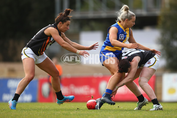 VFLW 2018 Round  13 - North Melbourne v NT Thunder - 617155