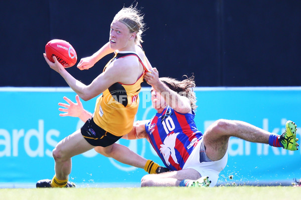 TAC Cup 2018 Grand Final - Dandenong v Oakleigh - 631847