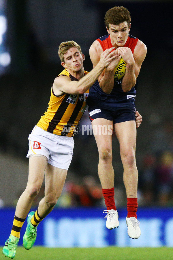 VFL 2018 Grand Final - Box Hill v Casey - 632735