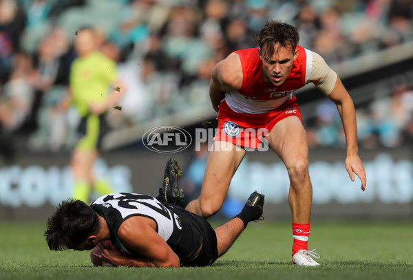 AFL 2019 Round 21 - Port Adelaide v Sydney - 703625