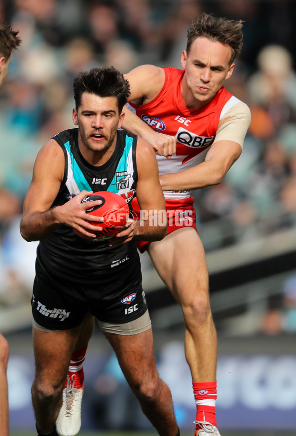 AFL 2019 Round 21 - Port Adelaide v Sydney - 703624