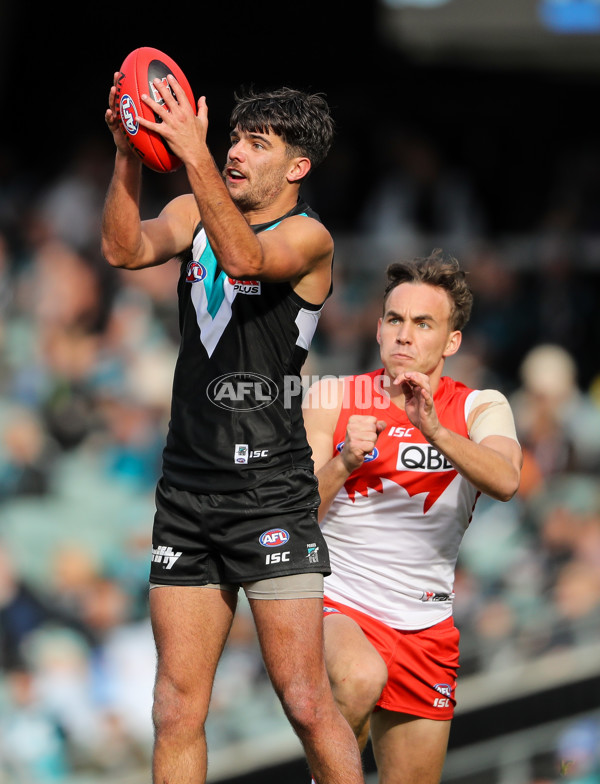 AFL 2019 Round 21 - Port Adelaide v Sydney - 703622