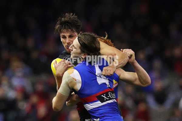AFL 2019 Round 21 - Essendon v Western Bulldogs - 704055