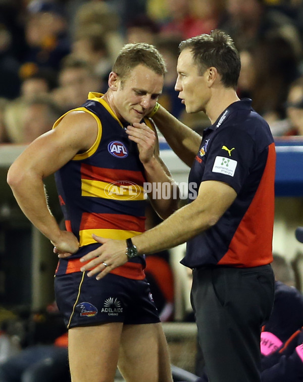 AFL 2013 Rd 11 - Adelaide v Sydney - 290276
