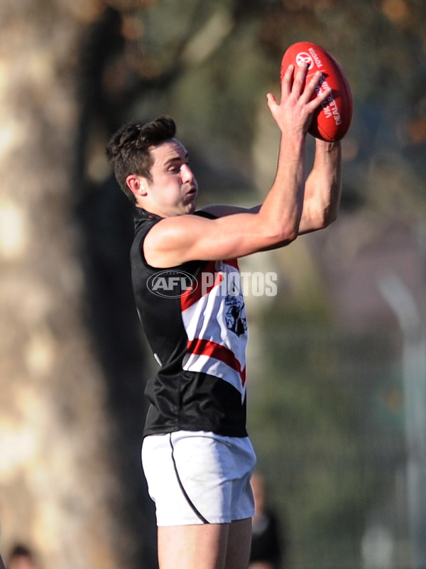 VFL 2013 Rd 12 - Bendigo Gold v Frankston - 292495
