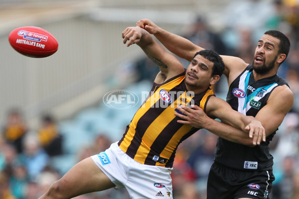 AFL 2013 Rd 16 - Port Adelaide v Hawthorn - 294552