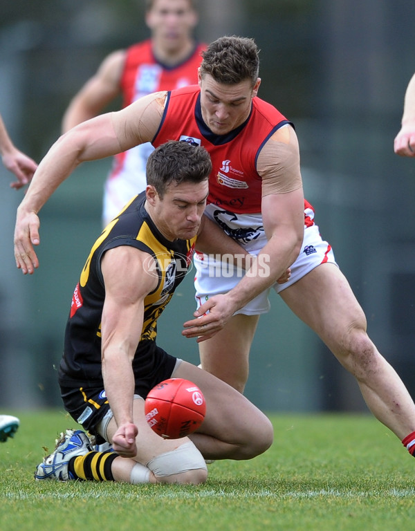 VFL 2013 Rd 13 - Werribee Tigers v Casey Scorpions - 294804