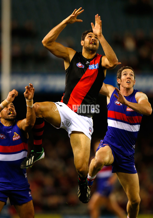 AFL 2013 Rd 16 - Western Bulldogs v Essendon - 294811