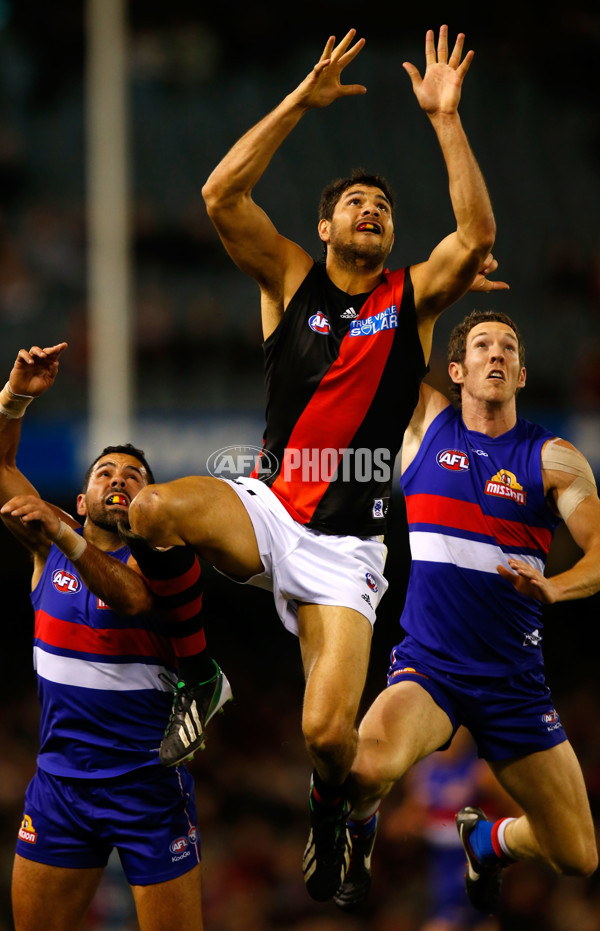 AFL 2013 Rd 16 - Western Bulldogs v Essendon - 294810