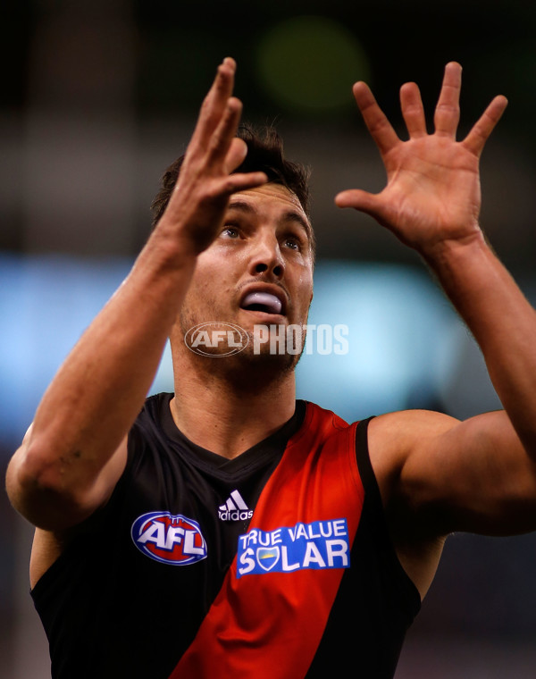 AFL 2013 Rd 16 - Western Bulldogs v Essendon - 294997