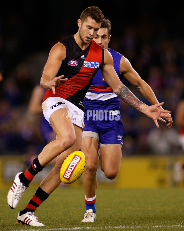 AFL 2013 Rd 16 - Western Bulldogs v Essendon - 295006