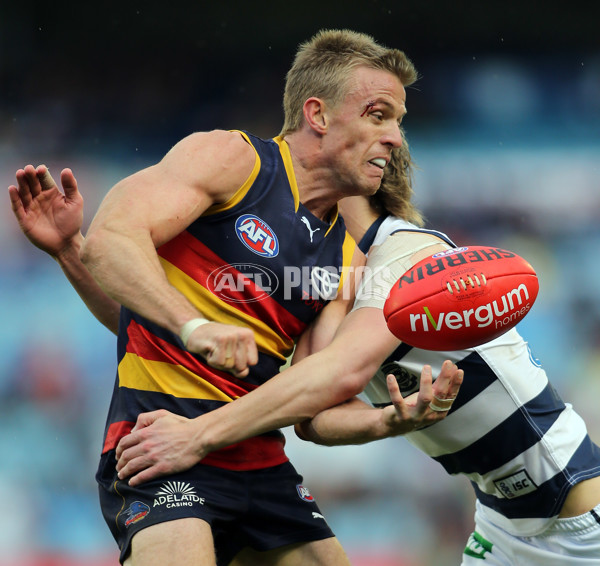 AFL 2013 Rd 17 - Adelaide v Geelong - 295950