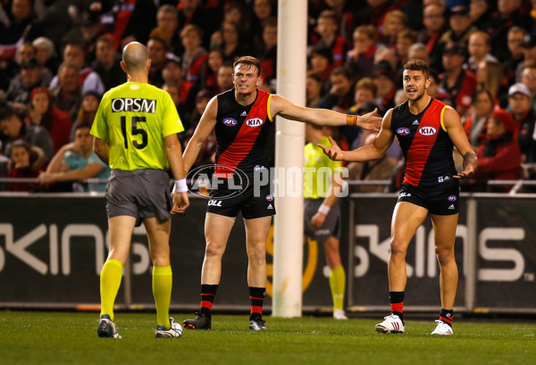 AFL 2013 Rd 18 - Essendon v Hawthorn - 296096