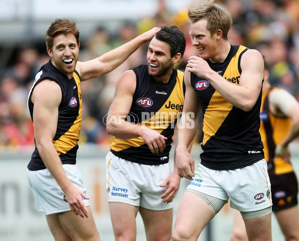 AFL 2013 Rd 19 - Hawthorn v Richmond - 297114