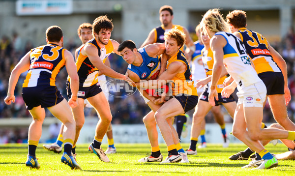 AFL 2013 Rd 19 - West Coast v Gold Coast - 297258