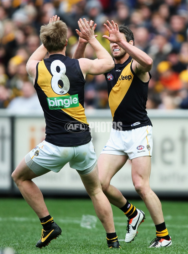 AFL 2013 Rd 19 - Hawthorn v Richmond - 297592