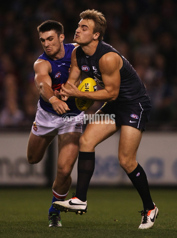 AFL 2013 Rd 20 - Carlton v Western Bulldogs - 298278