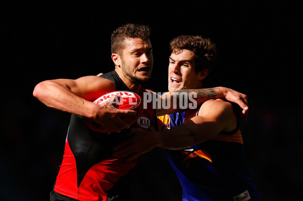 AFL 2013 Rd 20 - Essendon v West Coast - 298549