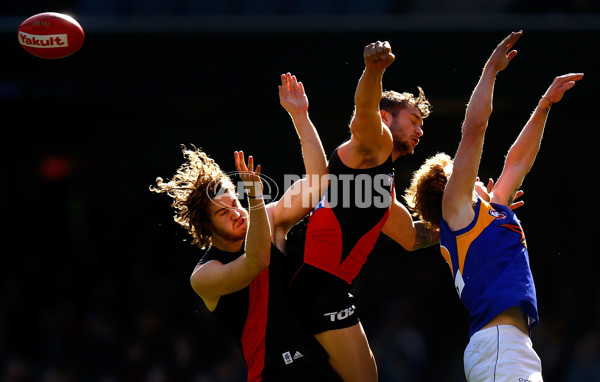 AFL 2013 Rd 20 - Essendon v West Coast - 298564