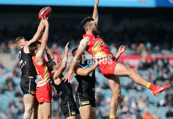 AFL 2013 Rd 21 - Port Adelaide v Gold Coast - 299322