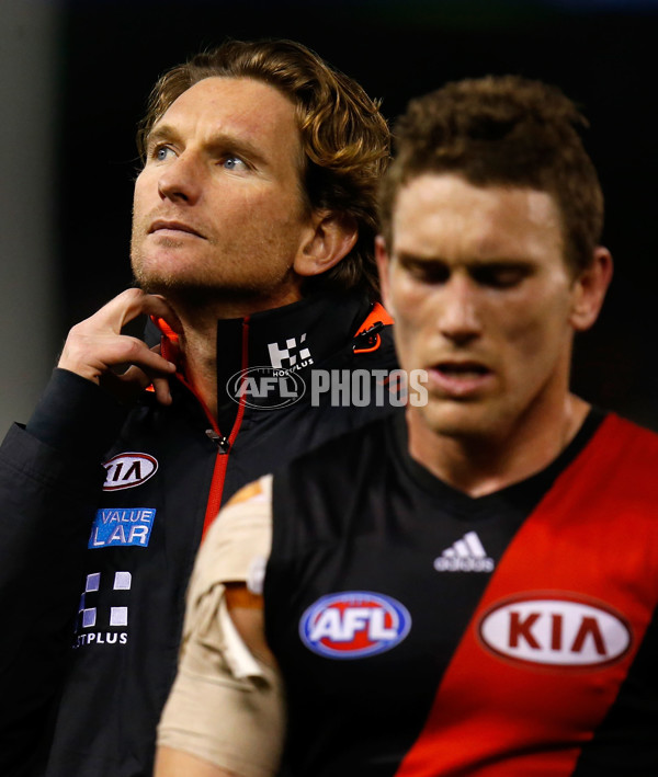AFL 2013 Rd 21 - Essendon v North Melbourne - 299315