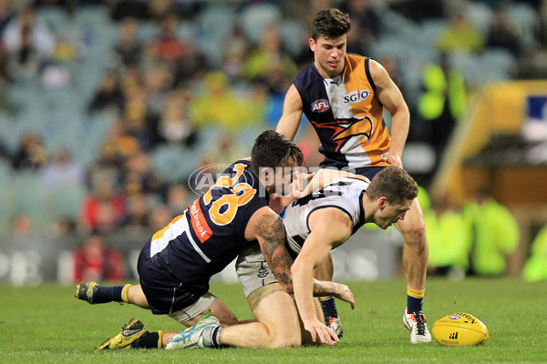 AFL 2013 Rd 21 - West Coast v Geelong - 299467