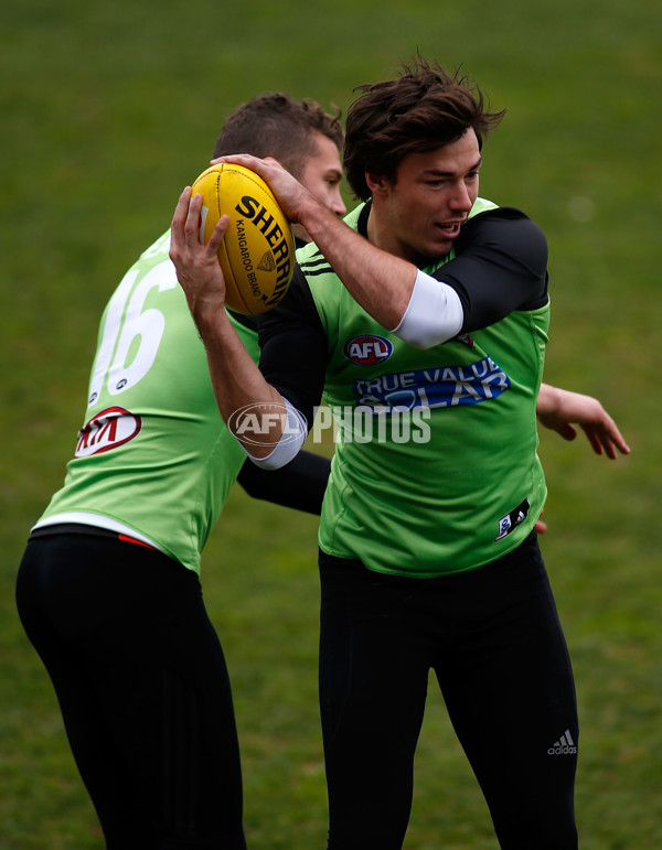 AFL 2013 Training - Essendon 230813 - 300044