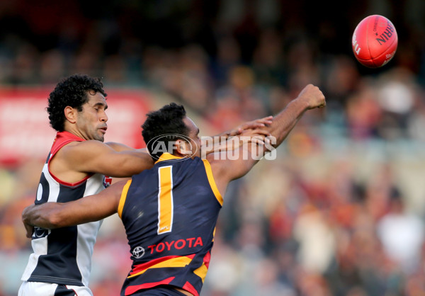 AFL 2013 Rd 22 - Adelaide v Melbourne - 300239