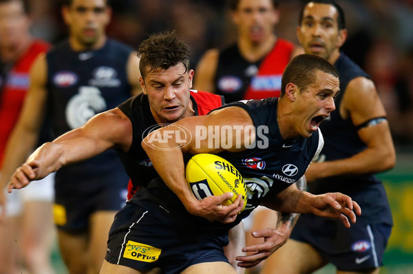 AFL 2013 Rd 22 - Carlton v Essendon - 300452