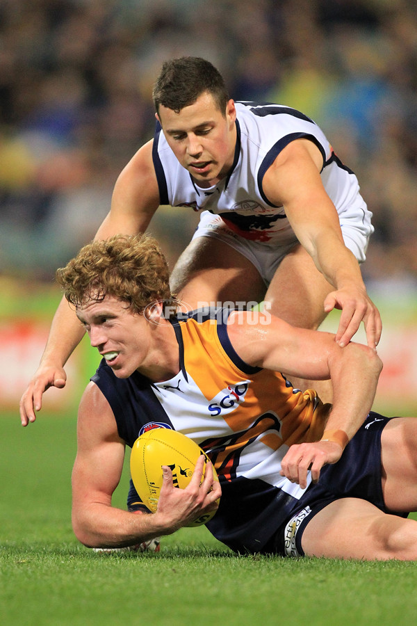 AFL 2013 Rd 23 - West Coast v Adelaide - 301581