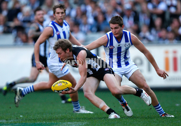 AFL 2013 Rd 23 - Collingwood v North Melbourne - 301812