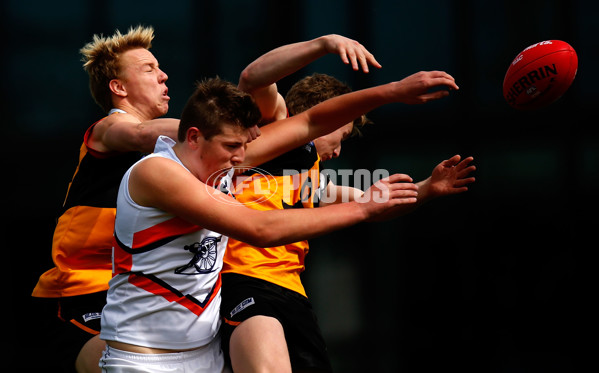 TAC Cup 2013 1st Preliminary Final - Dandenong Stingrays v Calder Cannons - 303463