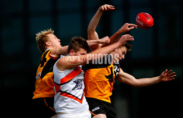 TAC Cup 2013 1st Preliminary Final - Dandenong Stingrays v Calder Cannons - 303454