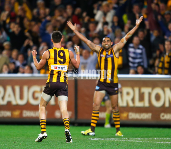 AFL 2013 1st Preliminary Final - Hawthorn v Geelong - 304089
