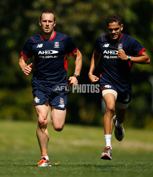 AFL 2013 Training - Melbourne 181113 - 307941