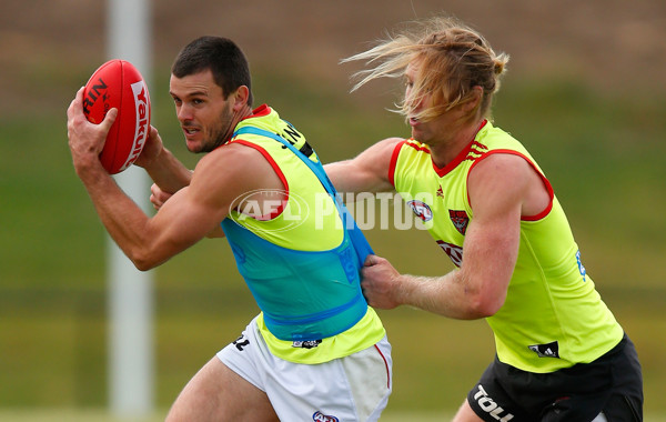 AFL 2013 Training - Essendon 291113 - 308827