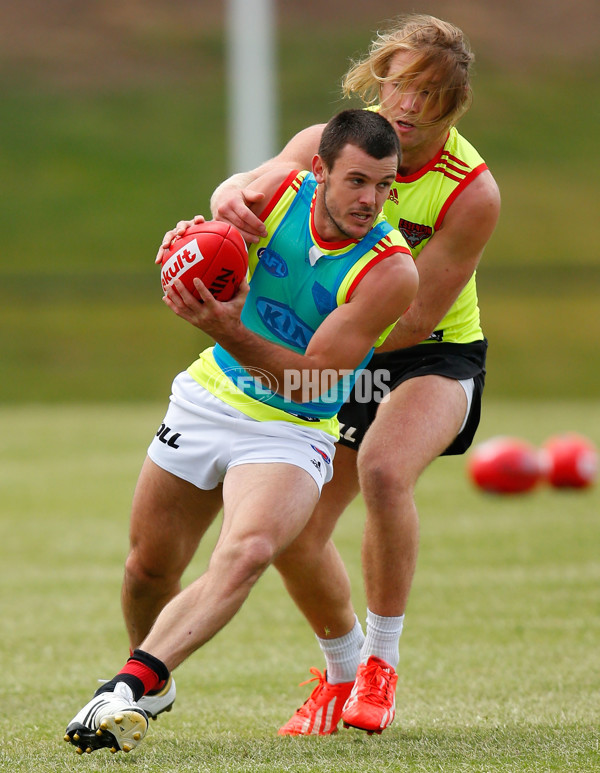 AFL 2013 Training - Essendon 291113 - 308811