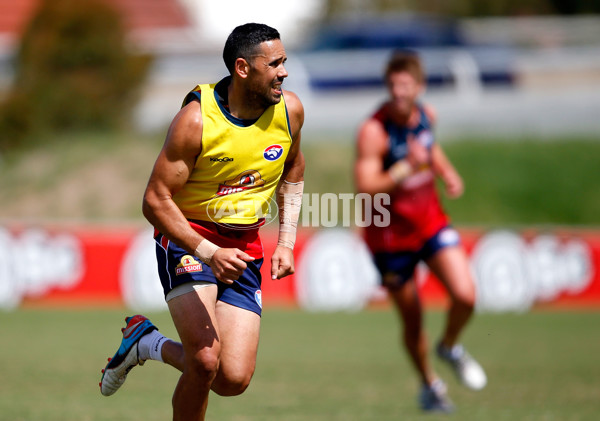 AFL 2013 Training - Western Bulldogs 111213 - 309738