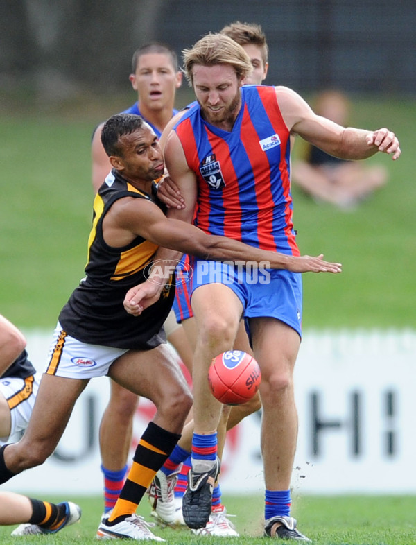 VFL 2012 Rd 02 - Port Melbourne v Werribee - 251626