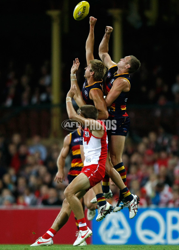 Adelaide - Brent Reilly, career - 256073