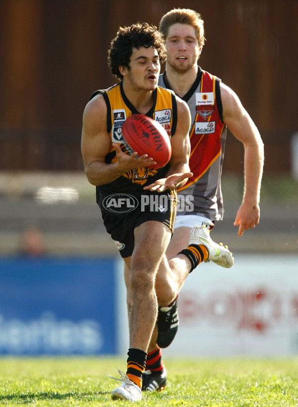 VFL 2011 Rd 19 - Werribee v Bendigo - 239338