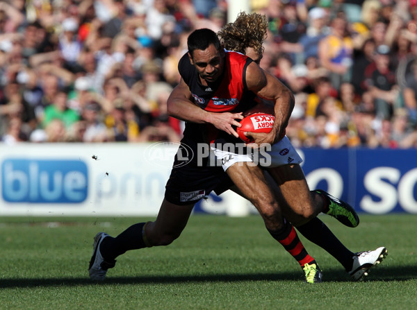 AFL 2011 Rd 22 - West Coast v Essendon - 240960