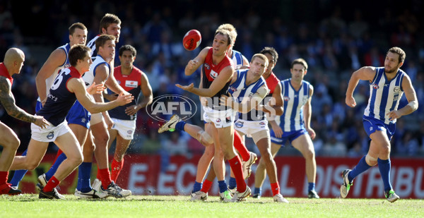 AFL 2010 Rd 06 - Noth Melbourne v Melbourne - 208572