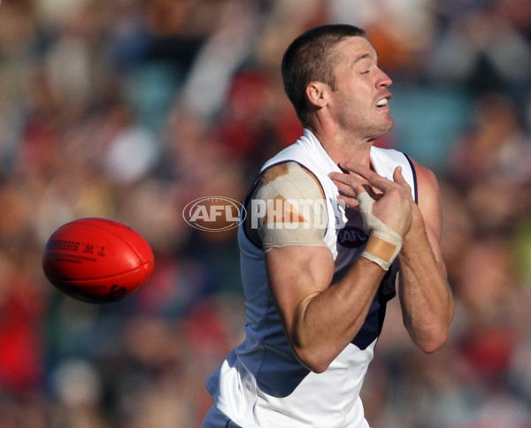 AFL 2010 Rd 11 - Adelaide v Fremantle - 209526