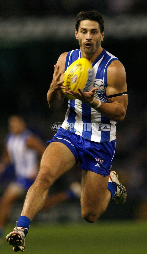 AFL 2010 Rd 13 - North Melbourne v Port Adelaide - 210870