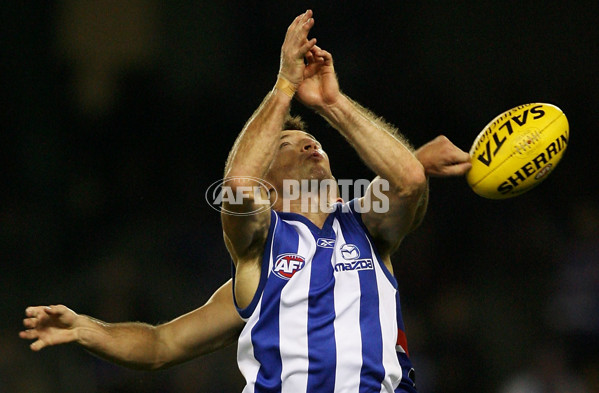 AFL 2008 Rd 09 - Western Bulldogs v North Melbourne - 144953