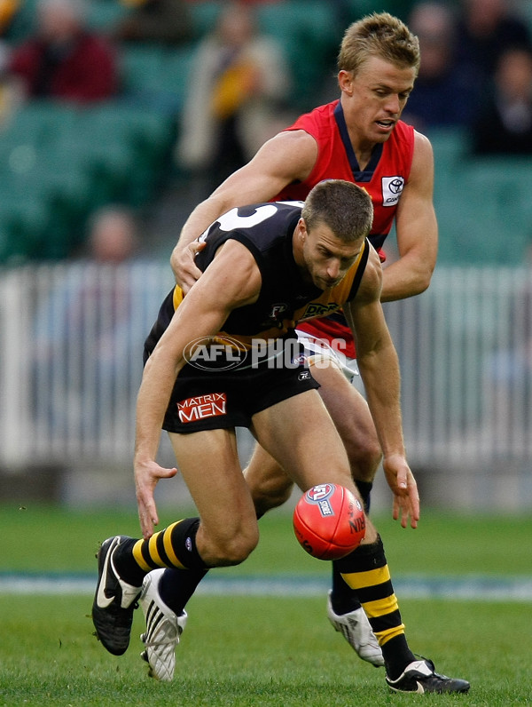 AFL 2008 Rd 11 - Richmond v Adelaide - 149884