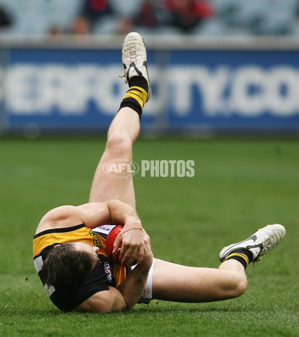AFL 2008 Rd 22 - Melbourne v Richmond - 159097